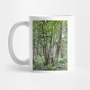 Trees in the forest, nature Mug